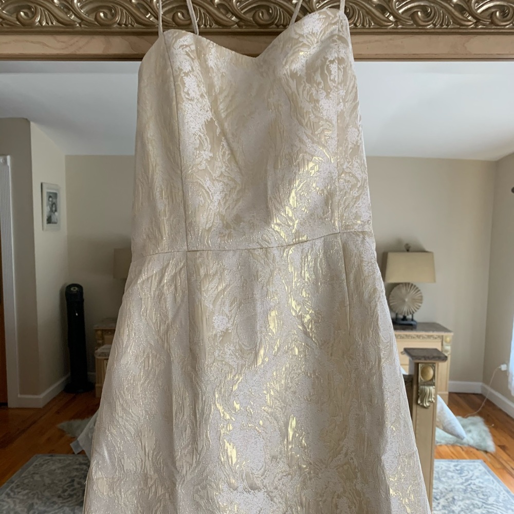 Brand New Gold shimmer ivory dress